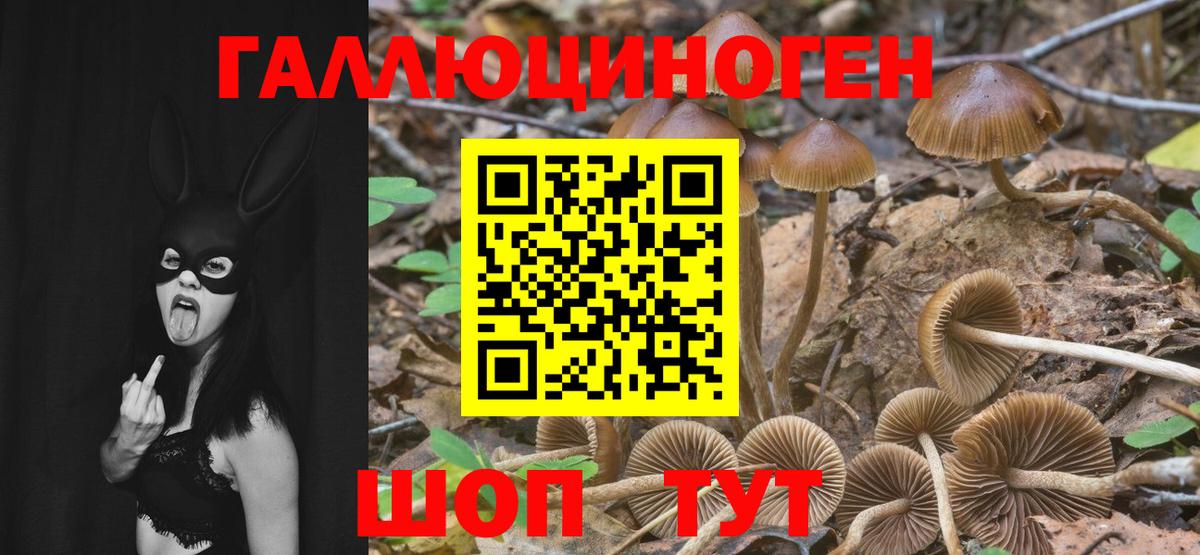 где продают наркотики  Вход с VPN  Тутаев  Галлюциногенные грибы ЛСД  Псилоцибиновые грибы Cubensis 